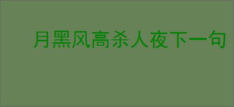 月黑风高杀人夜下一句