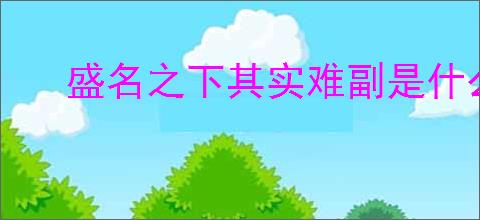 盛名之下其实难副是什么意思