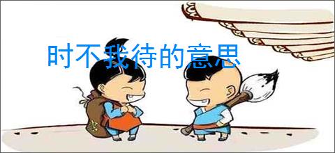 时不我待的意思